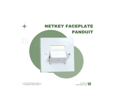 PANDUIT  NETKEY FACE PLATE                      